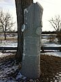 Lone Tree December 25 2012-2