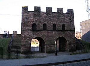 Mamucium gateway