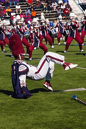 Marching 101 Band