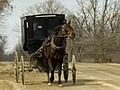 Mennonite and carriage publ
