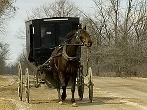 Mennonite and carriage publ