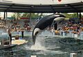 Miami Oceanarium