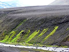 Moss (Iceland) 03