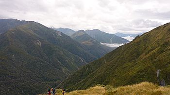 Mungo River Valley Tributary of Hokitika River New Zealand Aotearoa.jpg