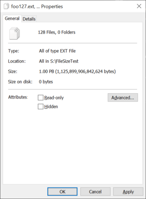 One Petabyte of Files (Windows 10 Professional)