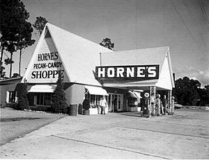 Original Hornes