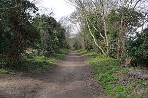 Oughtonhead Lane 1.JPG