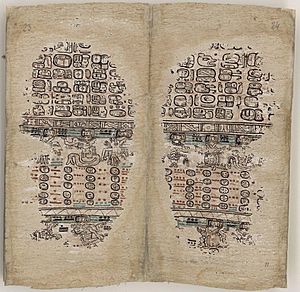 Paris Codex, pages 23-24