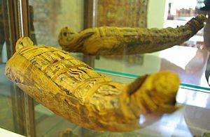 Prewitt-Allen Archaeological Museum falcon mummy