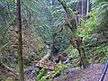 Puck's Glen 20170416 1000