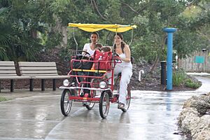 Quadricycle at Zoo Miami, Florida, USA-20Jan2011