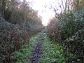 Railway Cutting - geograph.org.uk - 296267