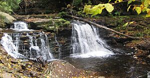 Ricketts Glen State Park Cayuga Falls 2