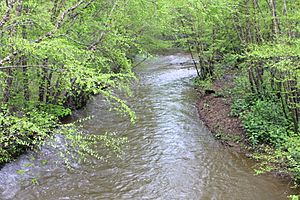 Roaring Creek (Pennsylvania) in springtime
