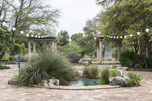 Scene from the Lady Bird Johnson Wildflower Center, part of the University of Texas at Austin but located 10 miles south of the Texas capital LCCN2014632146