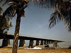 Seven Mile Bridge, Florida Keys (8592496566)