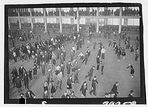 Skating Rink, Flushing Meadow Park. LOC gsc.5a30660