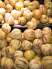 Solanum muricatum Lima Santa Isabel