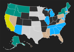 State electric salient