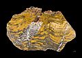 Stromatolithe Paléoarchéen - MNHT.PAL.2009.10.1
