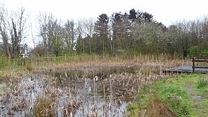 Sutton Ecology Centre Grounds 9