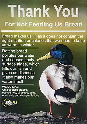 Thank You For Not Feeding Us Bread