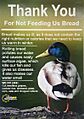 Thank You For Not Feeding Us Bread