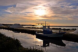 Trapani - Saline al tramonto