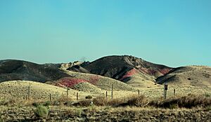 Tumbleweed Fire, Los Angeles County 2021, Part 1