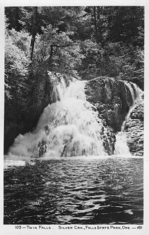 Twin Falls, Silver Creek, Oregon (6478844545).jpg