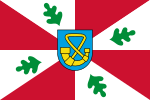 Tytsjerksteradiel flag