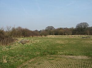 View into the middle of Mill Field - geograph.org.uk - 1237672