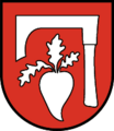 Wappen at fuegen