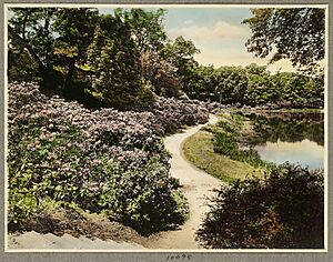 Ward's Pond, looking down from stairs - DPLA - eeaedbca981ed61a10e7ea29337cddd5