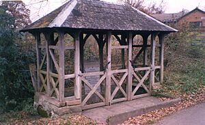 Well, Ffynnon Gwynydd, Glasbury - geograph.org.uk - 61678
