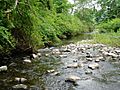 West Branch Papakating Creek near mouth in Wantage Township New Jersey.jpg