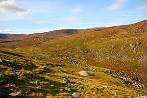 Wicklow Mountains National Park Glenealo Valley 01