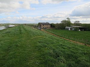 Witcham Gravel (geograph 5380892)