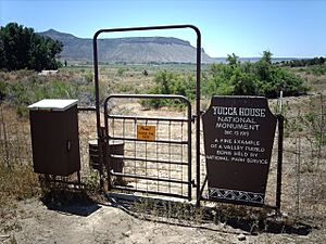 Yuccaentrance