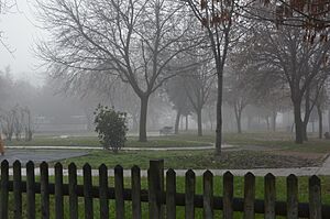 "Zoopazaro" park of Kilkis in fog