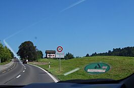2013-09-04 Udligenswil (Foto Dietrich Michael Weidmann) 119.JPG