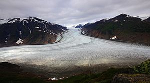 2015-08-07 Salmon Glacier, BC, Canada 1016