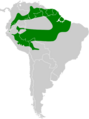 Anabacerthia ruficaudata map