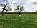 Appleton Farms Livestock