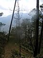 Approaching the peak of Pico Duarte