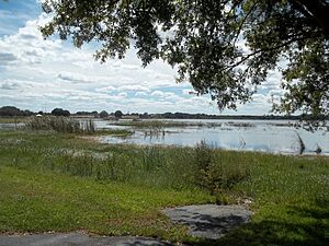 Avon Park FL Lake Damon01