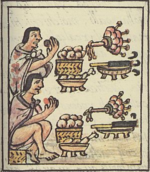 Aztec feast 5