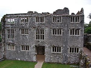 Berry Pomeroy Castle - Ruined interior - geograph.org.uk - 1590819