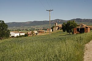 View of Berzosa de Bureba, 2010