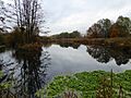 Birstall Meadows 10